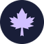 MapleAI logo